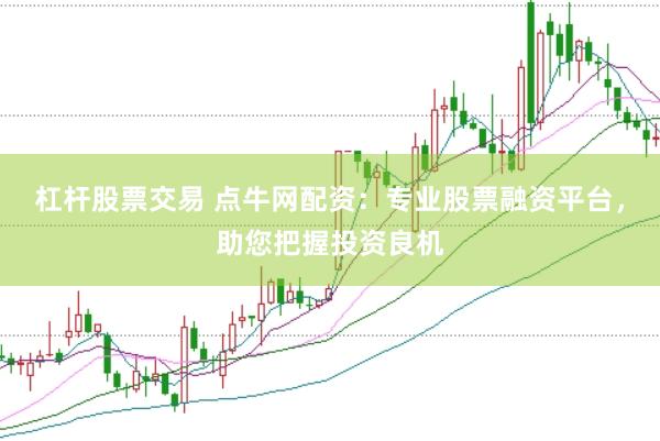 杠杆股票交易 点牛网配资：专业股票融资平台，助您把握投资良机