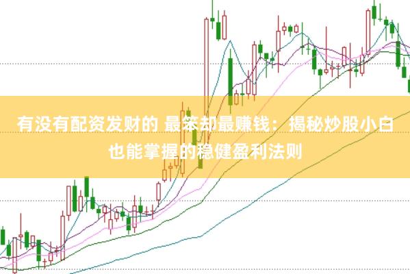 有没有配资发财的 最笨却最赚钱：揭秘炒股小白也能掌握的稳健盈利法则