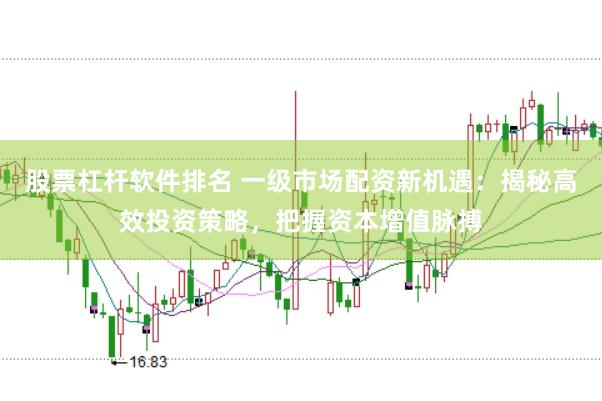 股票杠杆软件排名 一级市场配资新机遇：揭秘高效投资策略，把握资本增值脉搏
