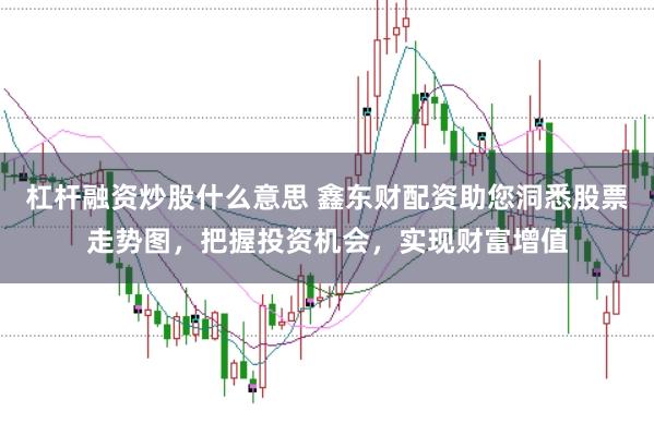 杠杆融资炒股什么意思 鑫东财配资助您洞悉股票走势图，把握投资机会，实现财富增值