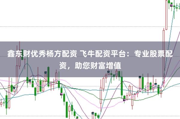 鑫东财优秀杨方配资 飞牛配资平台：专业股票配资，助您财富增值