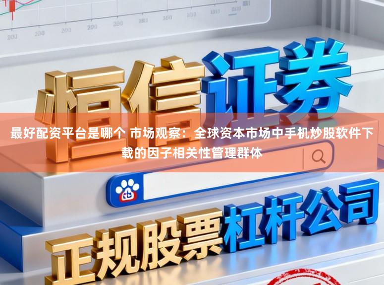 最好配资平台是哪个 市场观察：全球资本市场中手机炒股软件下载的因子相关性管理群体